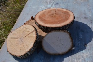 log-slices